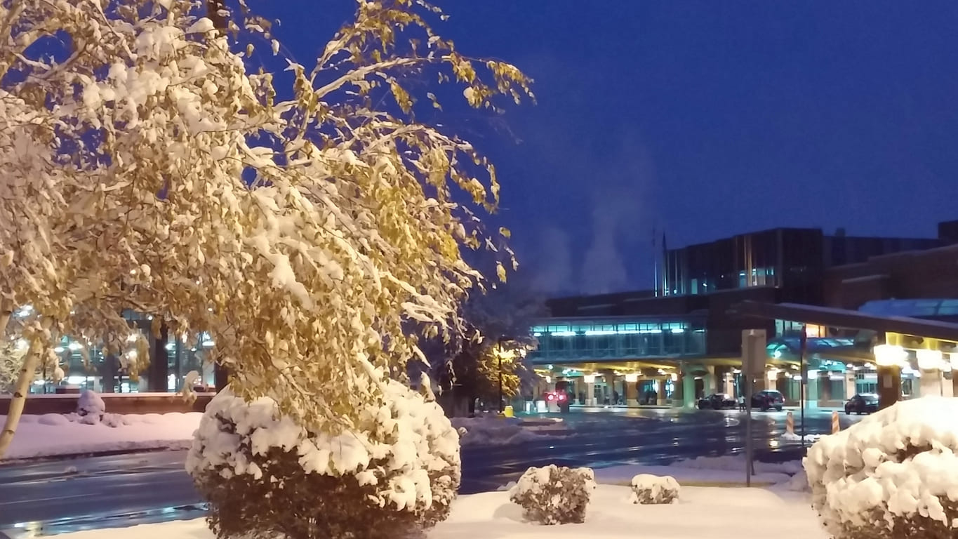 Albany International Airport glows softly at twilight, surrounded by snow-laden trees after a fresh snowfall.