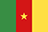 Flag of Cameroon