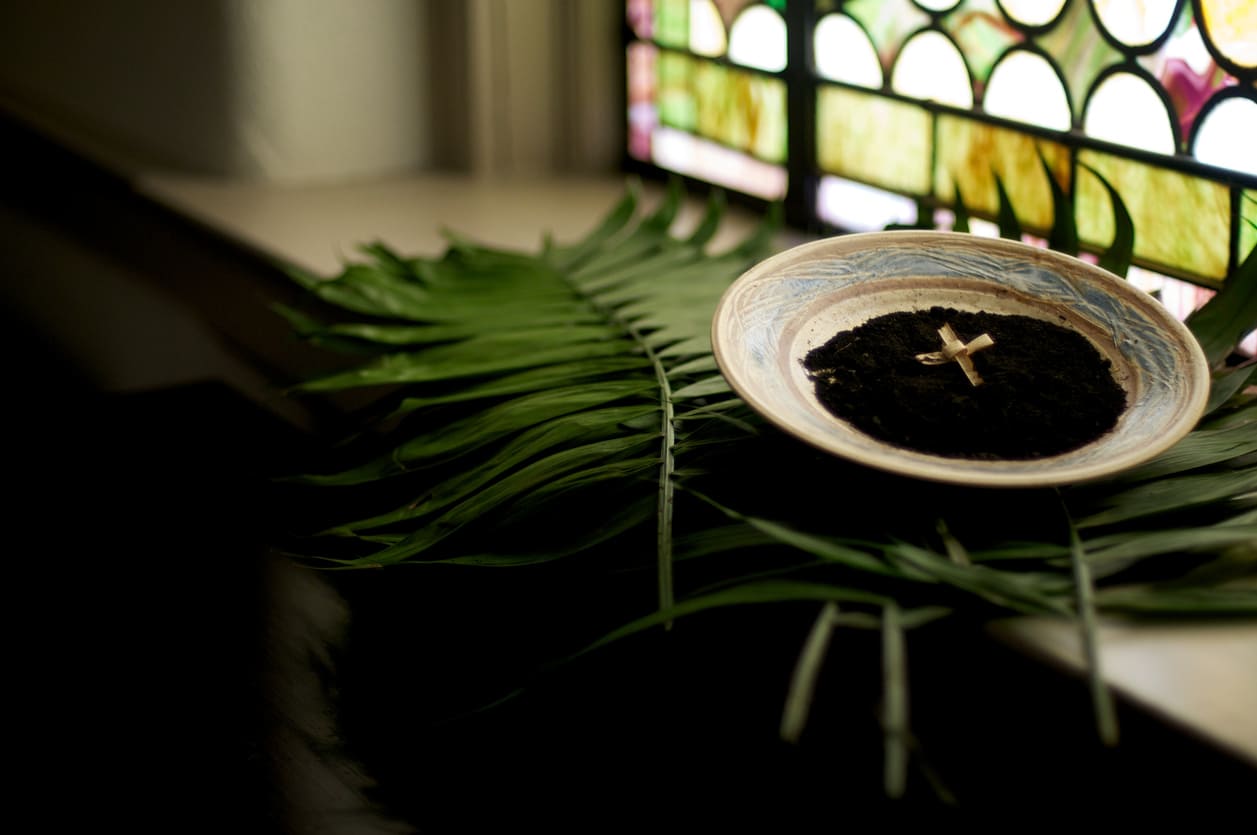 A bowl of ashes resting on palm fronds, symbolizing the repentance and renewal associated with Ash Wednesday.