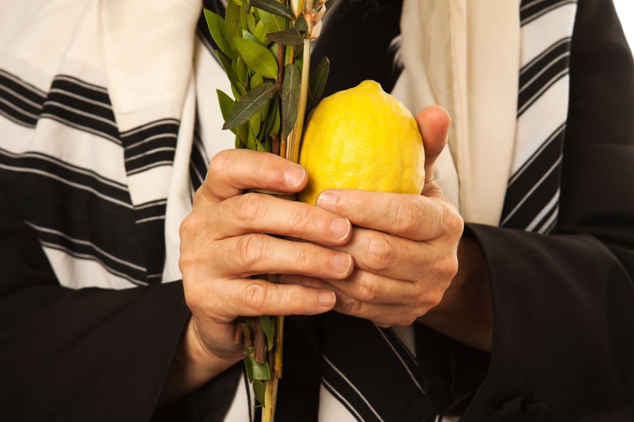 Hands holding a lulav and an etrog, key symbols used in Sukkot rituals.