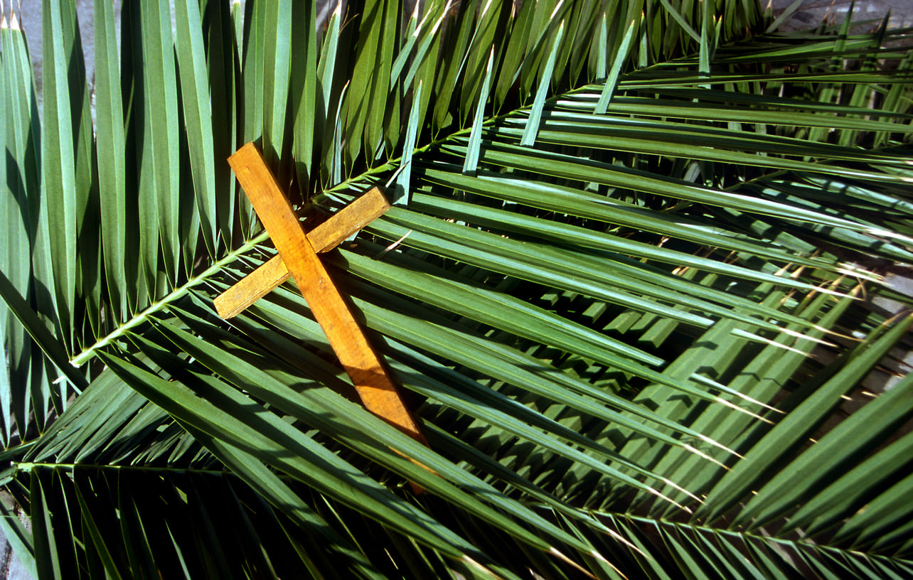 A wooden cross laid upon palm leaves, representing the spiritual essence of Palm Sunday.