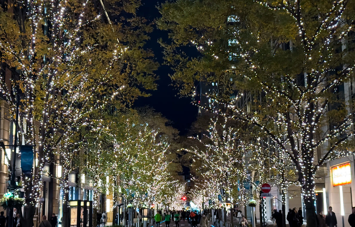A Tokyo street lined with trees glowing in thousands of twinkling lights, creating a magical Christmas atmosphere at night.