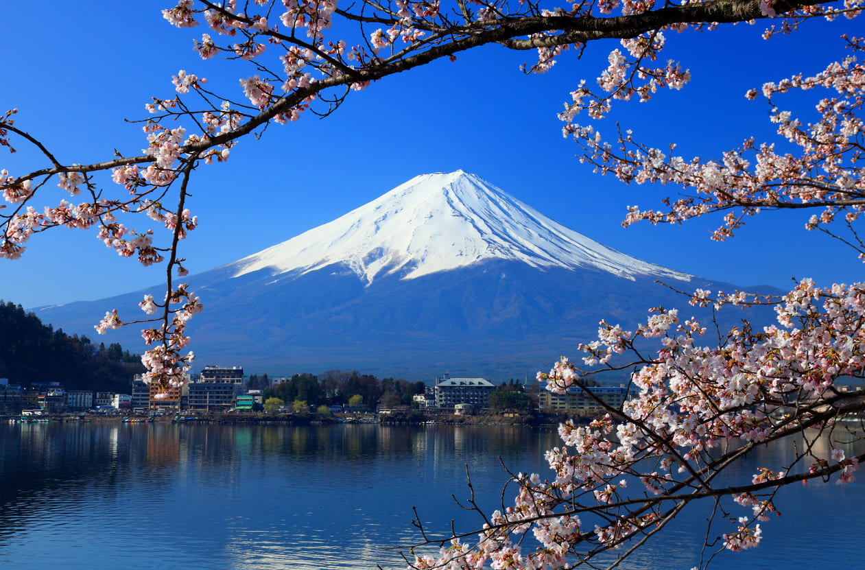 Snow-capped Mount Fuji rises under a clear blue sky, framed by soft cherry blossoms and mirrored in the still waters of a peaceful lakeside town.