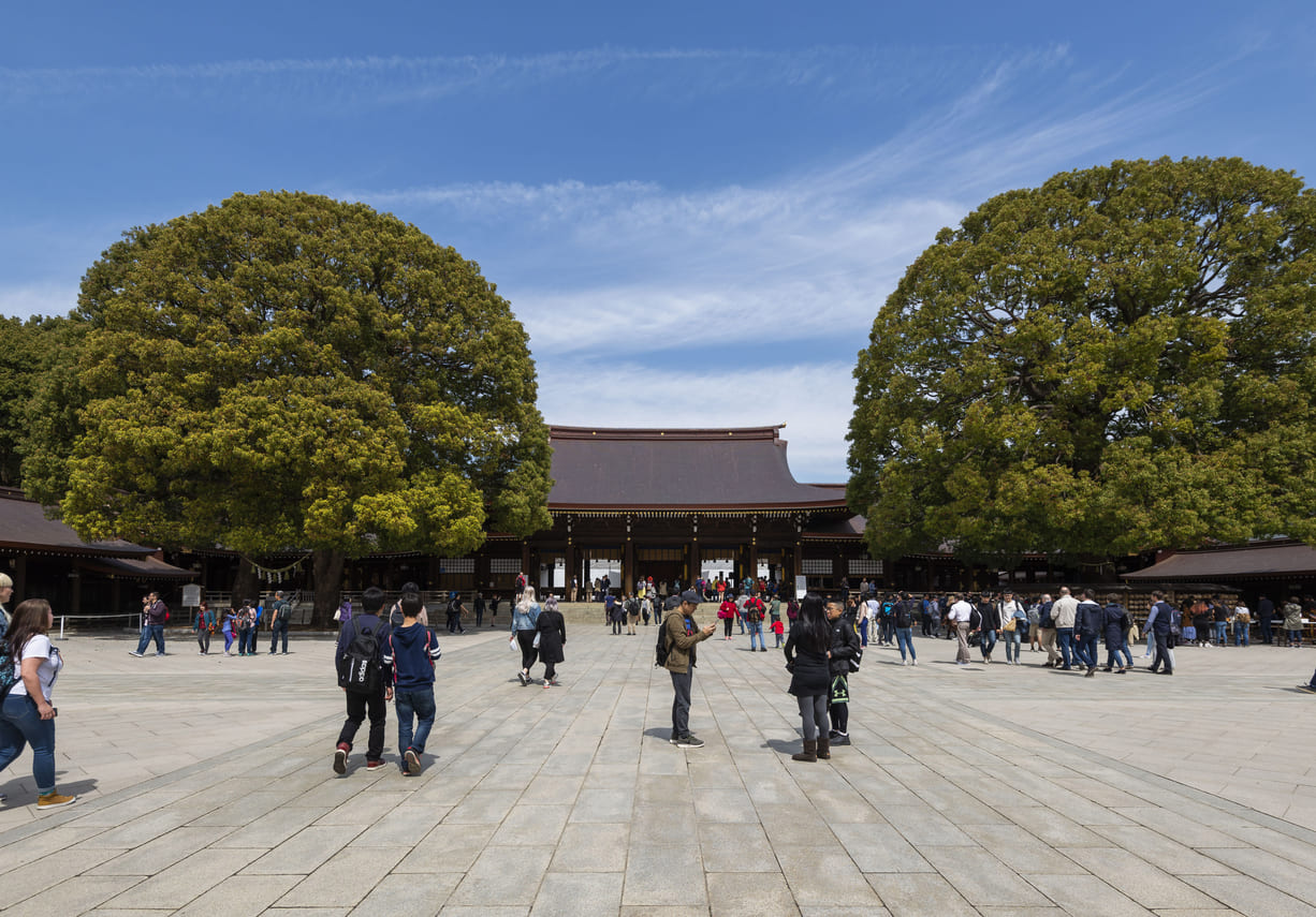 A wide plaza leads to Meiji Shrine, where visitors stroll under clear blue skies, surrounded by tall trees and traditional wooden architecture.