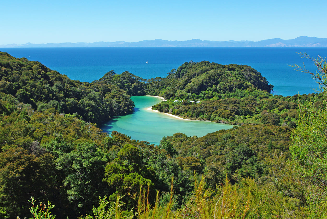 A breathtaking coastal view of Abel Tasman National Park, with golden beaches, turquoise waters, and lush green forest.