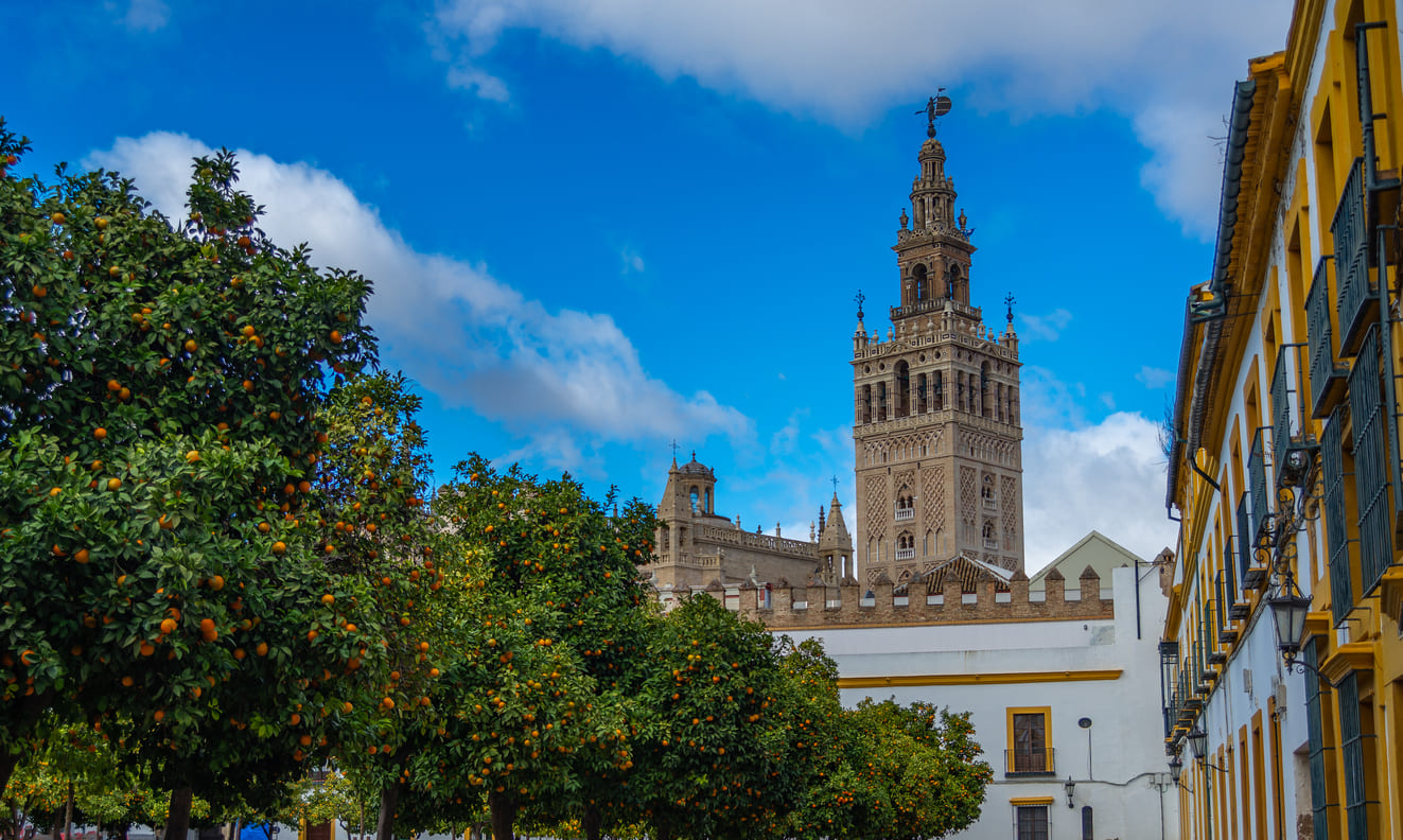 The Giralda of Seville Cathedral rises majestically against a blue sky, surrounded by vibrant orange trees, symbolizing Andalusia's rich cultural and historical heritage.