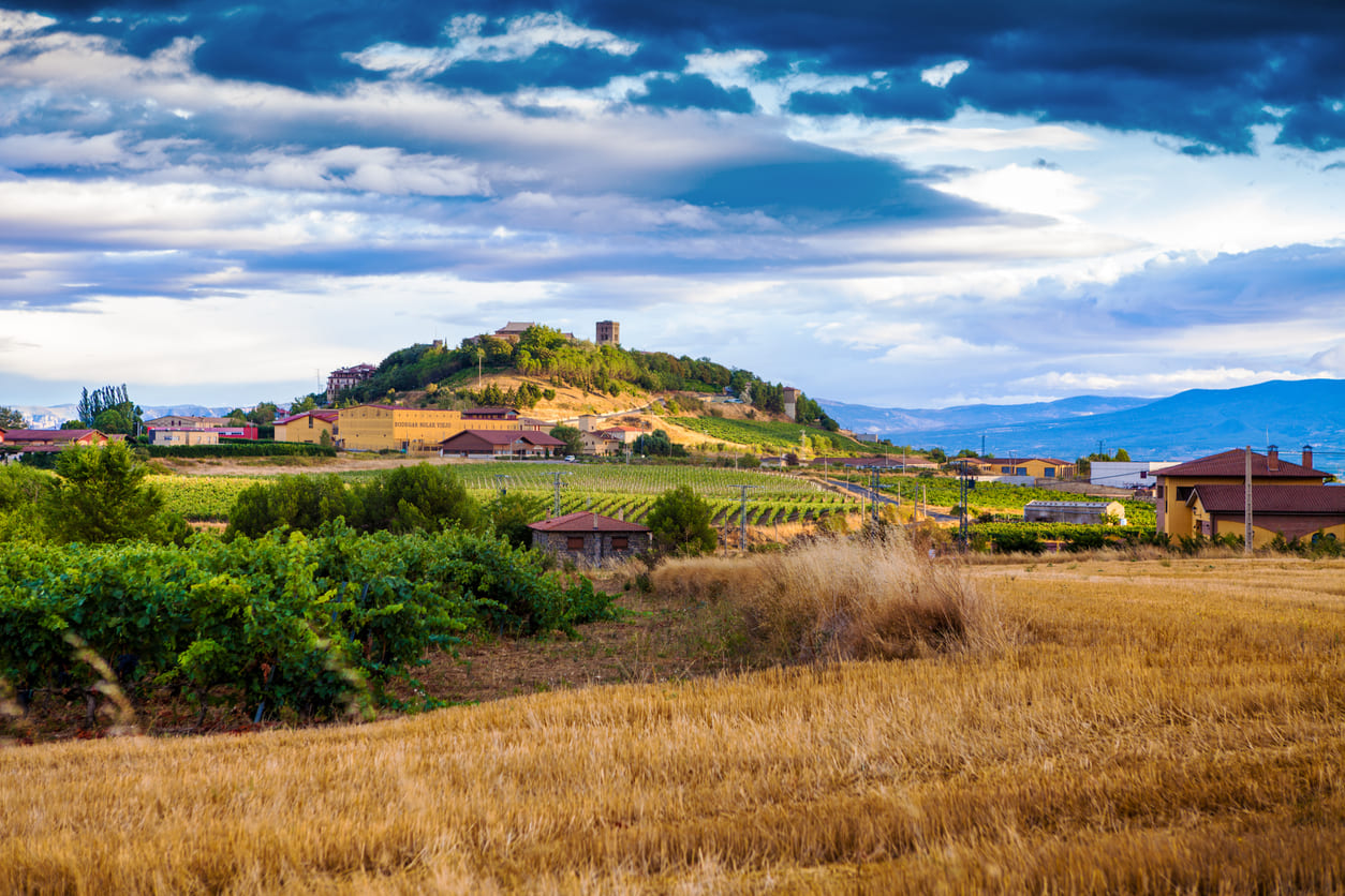 A breathtaking landscape of La Rioja's vineyards and a historic hilltop village, symbolizing the region's cultural and winemaking heritage celebrated on the Day of La Rioja.