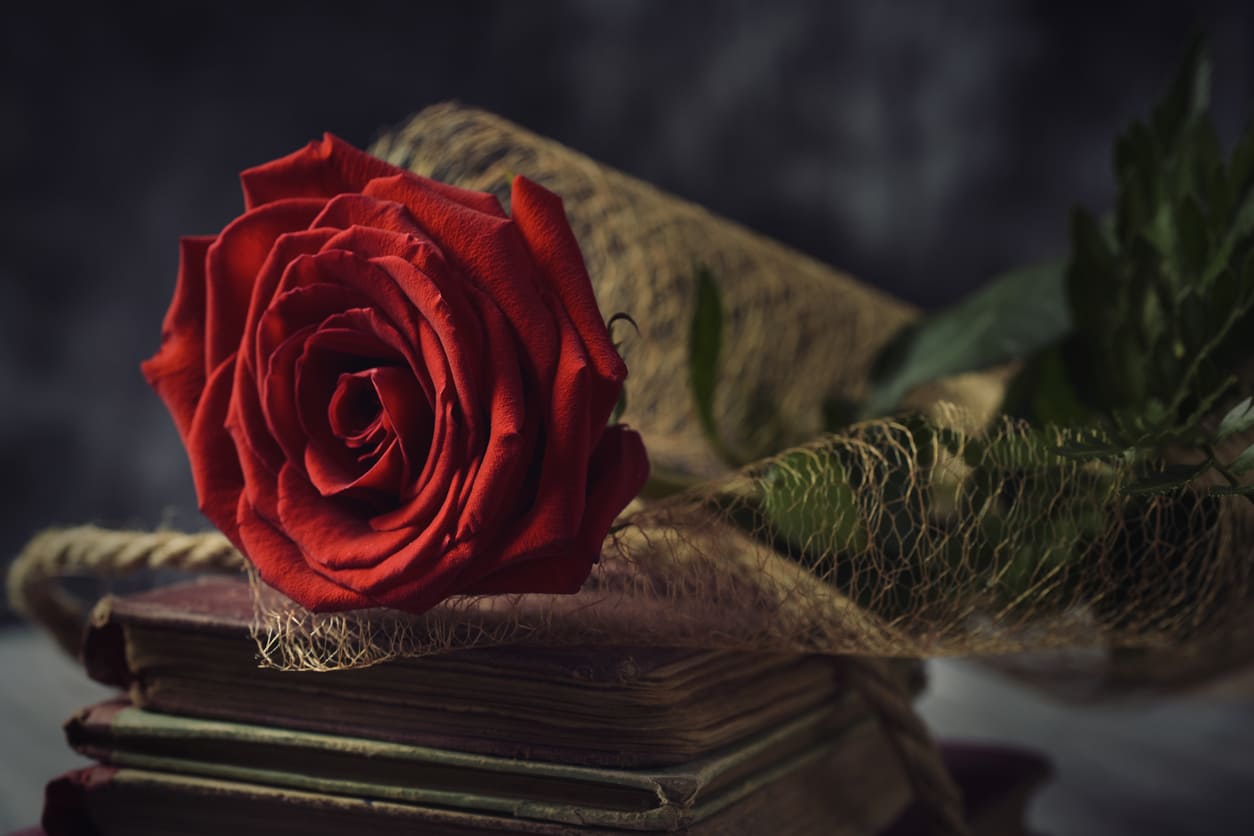 A vibrant red rose rests on a stack of vintage books, symbolizing the Catalan tradition of exchanging books and roses on St. George's Day.