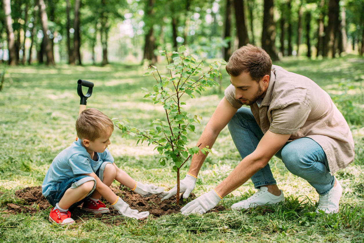 A father and young son work together planting a tree in a lush green park, embodying the spirit of Arbor Day.