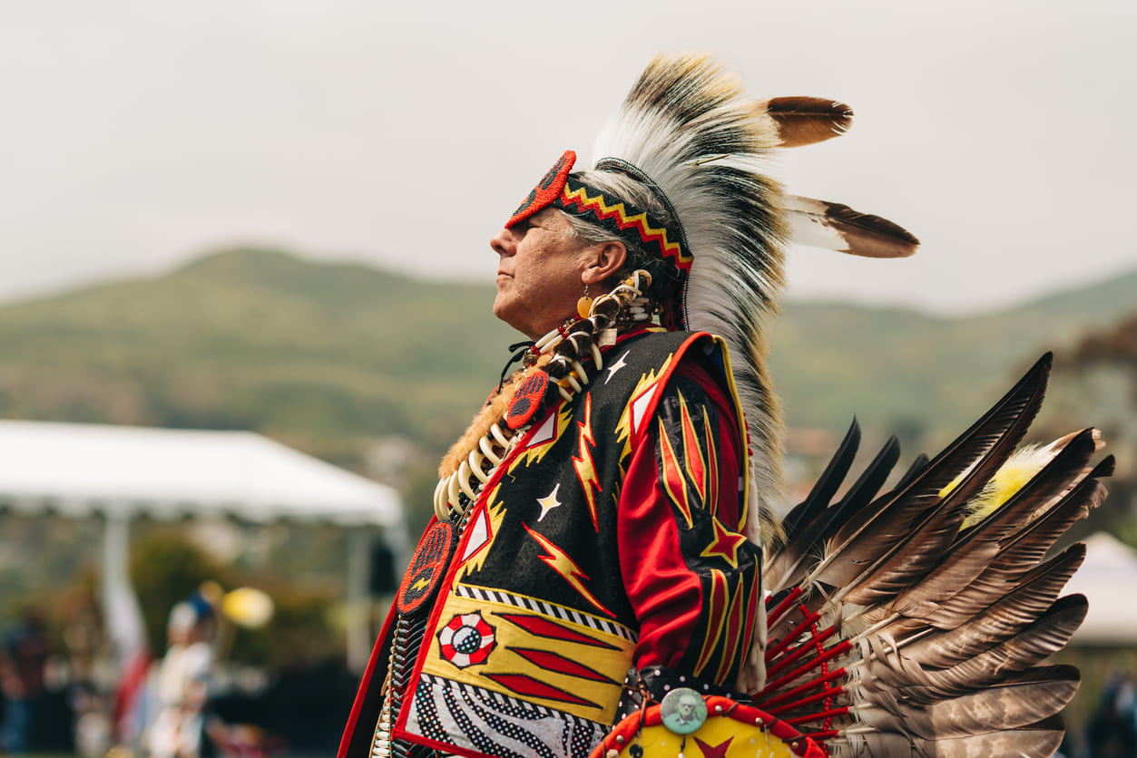 A Native American in vibrant traditional attire, adorned with feathers and intricate patterns, stands proud and reflective.